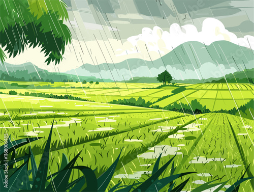 Rain-Fed Paddy Fields in Africa: A Traditional Approach to Agriculture in Arid Regions