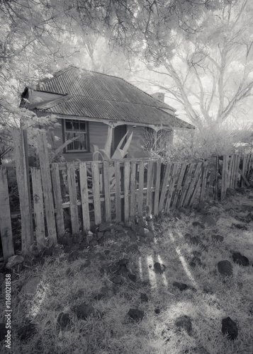 Obraz na płótnie Rustic, old and abandoned farm cottage in black and white, Australia w salonie