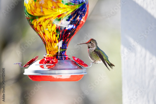 Canvastavla A hummingbird, also known as a Colibri, perched on a vibrant glass bird feeder with intricate details, set against a blurry background