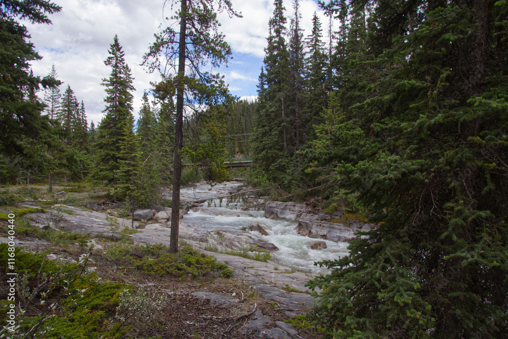 Maligne Canyon in the Summer Maligne Canyon in the Summer