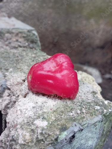 heart shaped stone