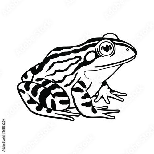 reptiles- frog line and fill art vector illustration