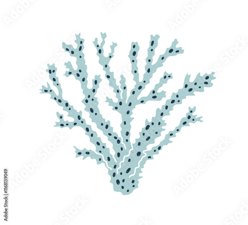 Coral branch. Sea underwater reef plant. Exotic marine fauna with porous stru...