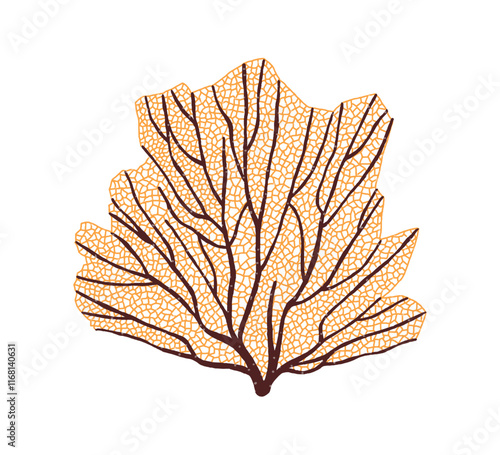 Sea fan, underwater coral branch. Exotic gorgonian seafan, undersea plant with veins. Marine reef decoration, tropical under water flora. Flat vector illustration isolated on white background