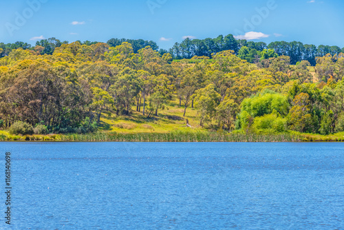 A Summer's day at Lake Canobolas