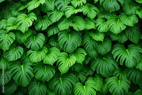 Vibrant green tropical leaves with detailed veins cover the image in a natural pattern, creating lush and exotic foliage on a dark background. Ai generative photo