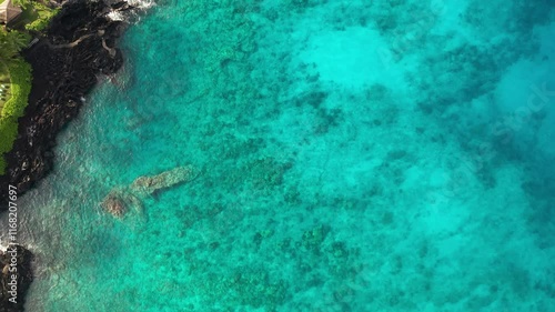 Crystal clear water with coral reefs along a rocky shoreline in Captain Cook, Hawaii photo