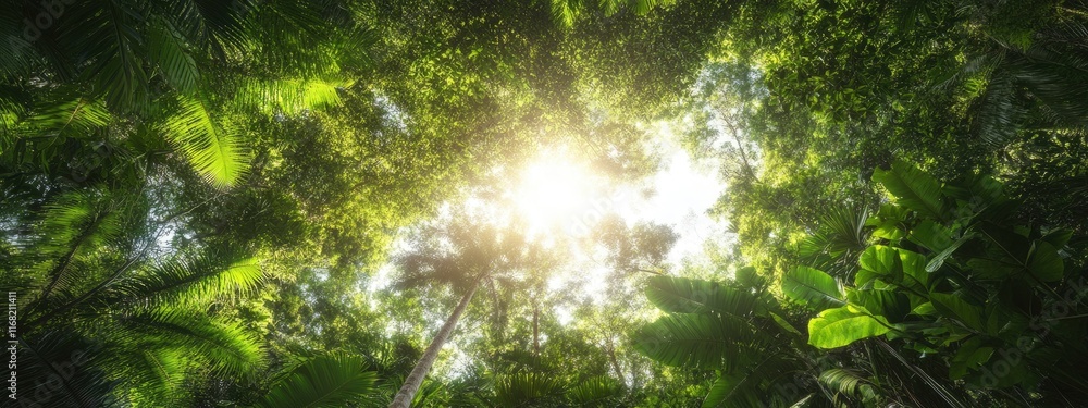 Fototapeta premium Sunlight filtering through the lush foliage of a tropical rainforest, illuminating the verdant canopy and vibrant greenery