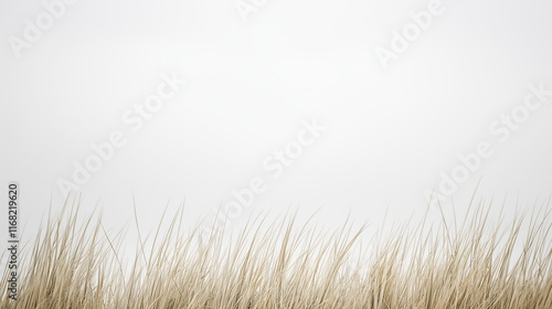 Serene Meadow: Golden Grass...