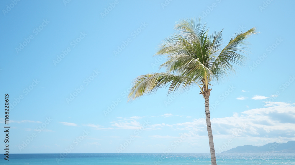 Obraz premium Tropical Getaway: Serene Palm Tree by the Ocean 