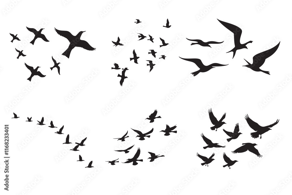Fototapeta premium Flying Birds Sky Vector Silhouettes