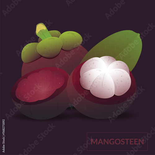 Purple mangosteen set design with isolated whole and halved sweet tropical fruit with leaf. Exotic vegan food in realistic detailed vector style for packaging, designs, decorative elements