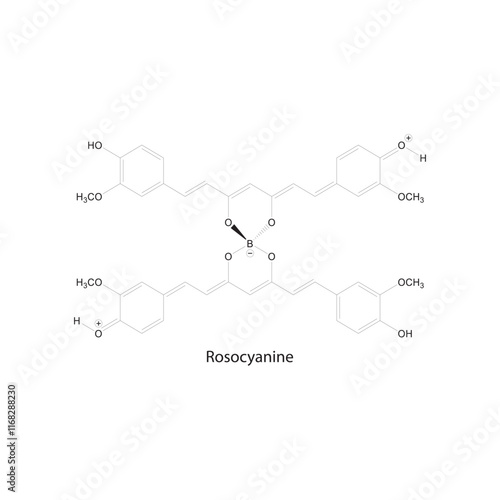Rosocyanine skeletal structure diagram.Curcuminoid compound molecule scientific illustration.