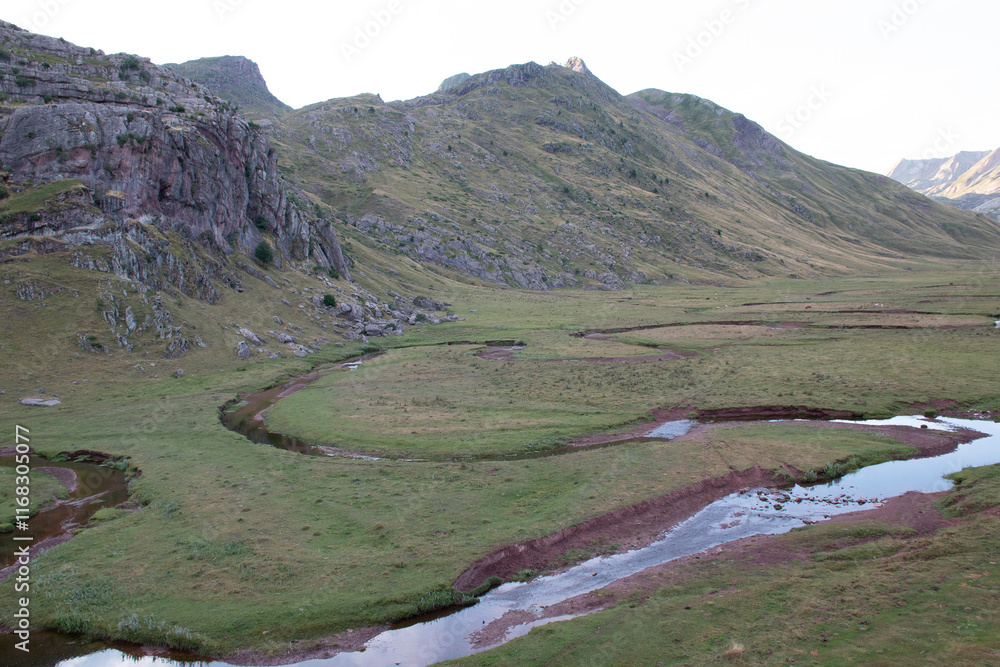 Selva de Oza