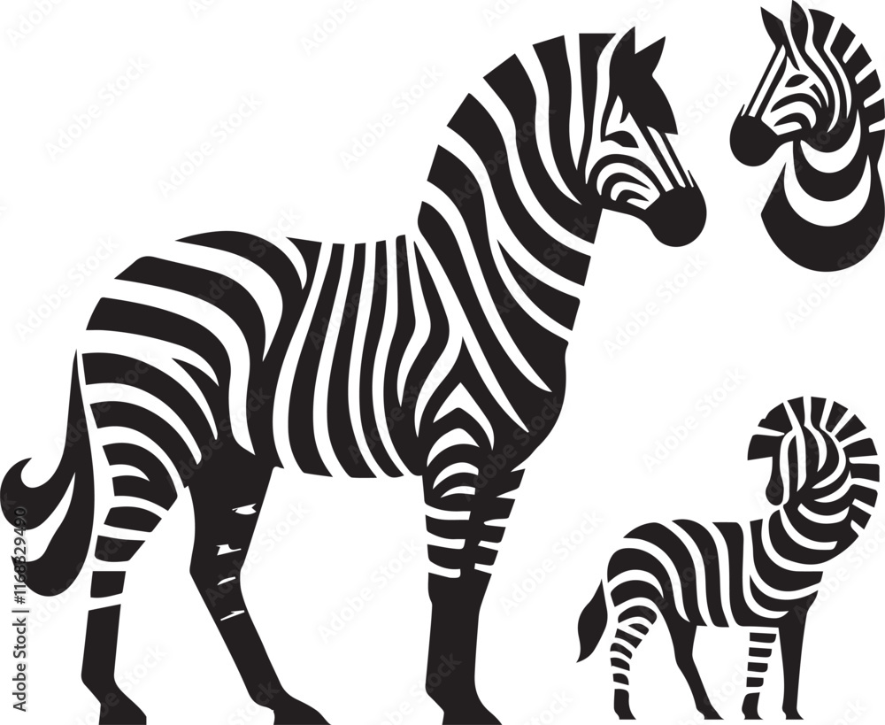 Obraz premium Zebra vector illustration black and white