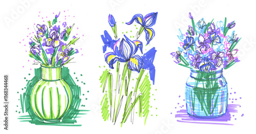 A set of irises, purple flowers, hand-drawn doodles with a felt-tip pen, an illustration on a white background. Lilac spring flowers, drawing with markers.