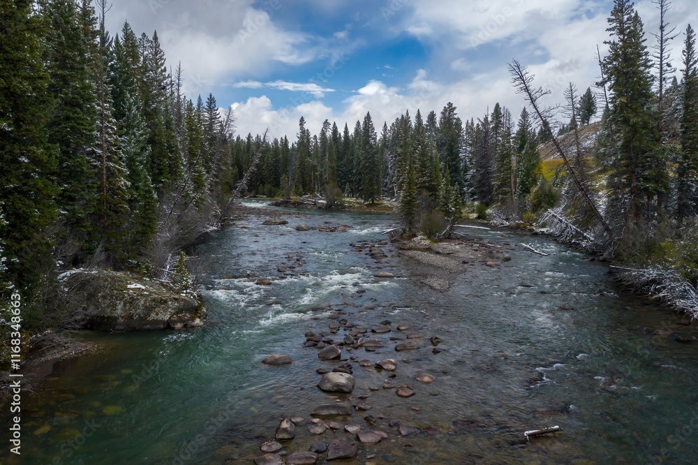 Snowy mountain river flowing through a forest. Gentle rapids and rocks in the water. Winter scene. , Cody, Wyoming, USA. Snowy mountain river flowing through a forest. Gentle rapids and rocks in the water. Winter scene. , Cody, Wyoming, USA.