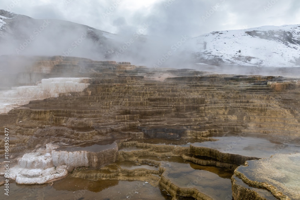 Stunning terraced hot spring formations at Mammoth Hot Springs, Yellowstone National Park. Steam rises from the mineral-rich pools. Mammoth Hot Springs, Yellowstone National Park, Wyoming, USA. Stunning terraced hot spring formations at Mammoth Hot Springs, Yellowstone National Park. Steam rises from the mineral-rich pools. Mammoth Hot Springs, Yellowstone National Park, Wyoming, USA.