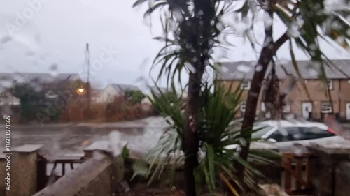 Storm Darragh rainy gale force winds blowing outside home window photo