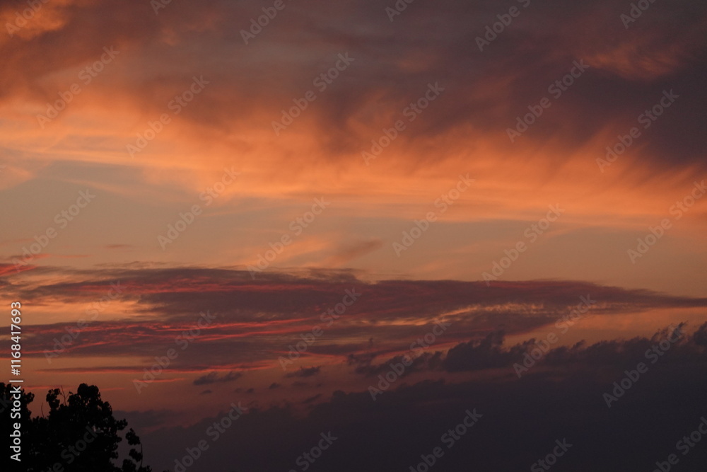 Obraz premium Rose sunset and colorful clouds