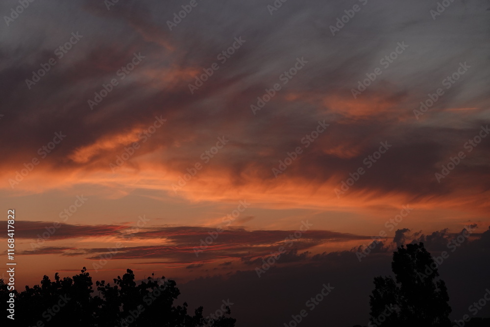 Obraz premium Rose sunset and colorful clouds