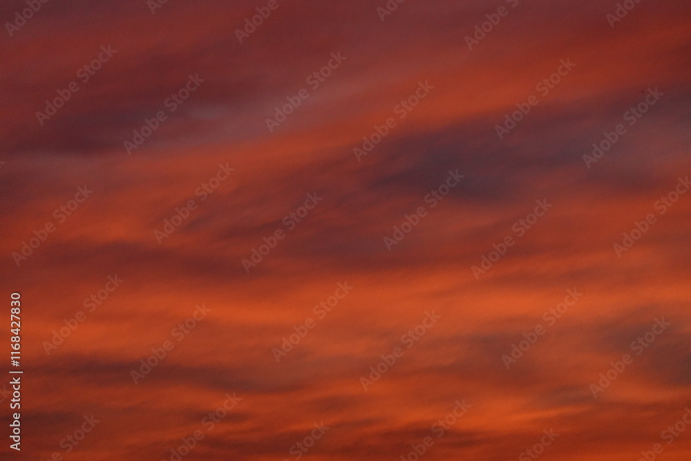 Obraz premium Rose sunset and colorful clouds