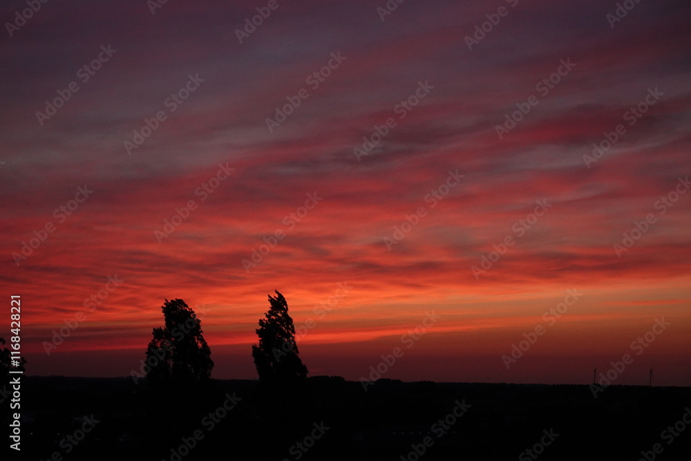 Obraz premium Rose sunset and colorful clouds