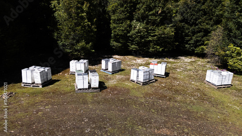 Bee Hives photo