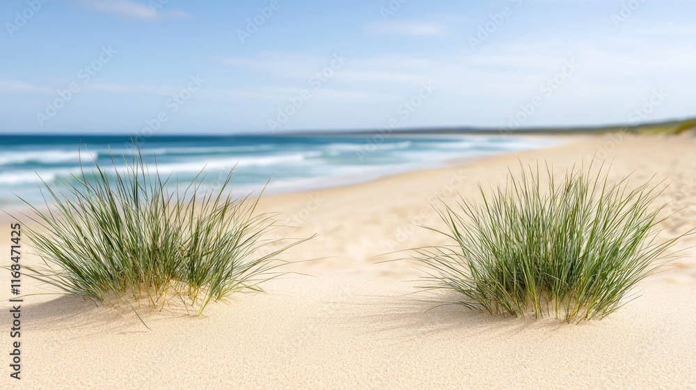 A serene beach scene featuring gentle waves, soft sand, and tufts of grass, evoking tranquility and natural beauty. A serene beach scene featuring gentle waves, soft sand, and tufts of grass, evoking tranquility and natural beauty.