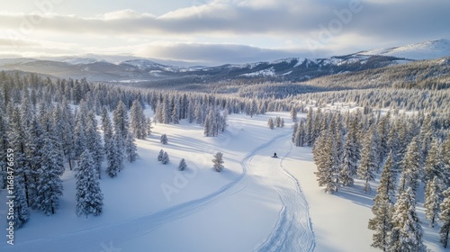 Wallpaper Mural Aerial winter vista capturing solitary snowboarder carving pristine powder, smooth snowy expanse dotted with frost covered pines, minimalist winter landscape, graceful serpentine tracks through Torontodigital.ca