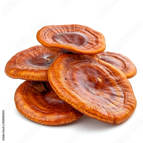 Health Mushroom Lingzhi or Red Reishi Mushroom isolated on white background photo