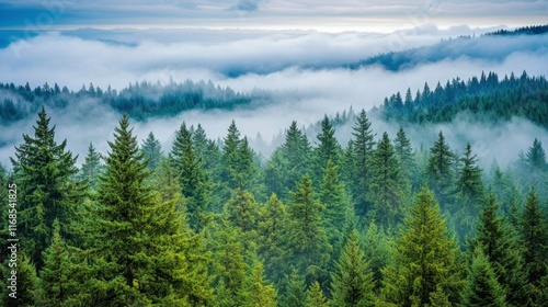 Misty forest landscape showcasing lush green trees and a serene atmosphere at...