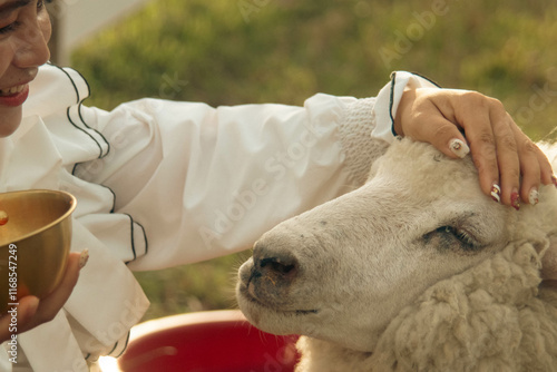 Cute little girl in traditional ukrainian folk costume with sheep photo