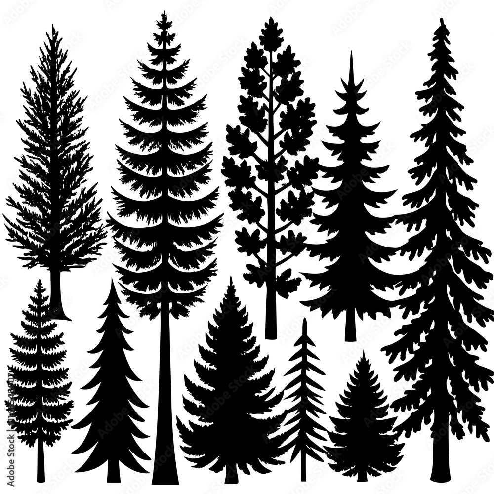 Obraz premium silhouettes of trees