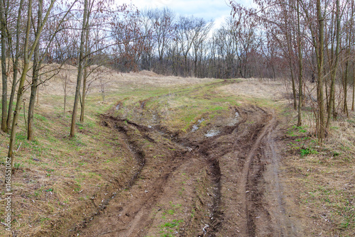 dirt road with deep tire tracks in a grassy forest in early spring. Landscape photo of nature in the open air.
