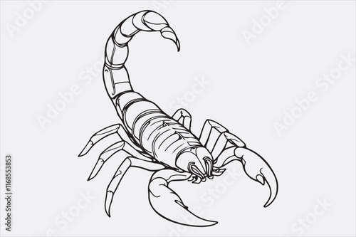A black and white line drawing of a scorpion with a detailed depiction.