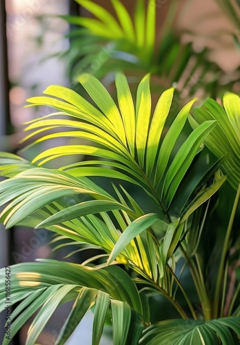 Lush green palm leaves capture sunlight in a serene indoor environment