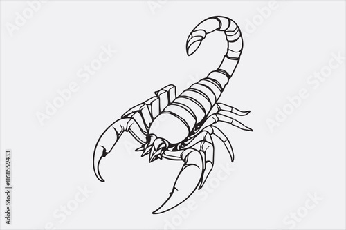A black and white line drawing of a scorpion with a detailed depiction.