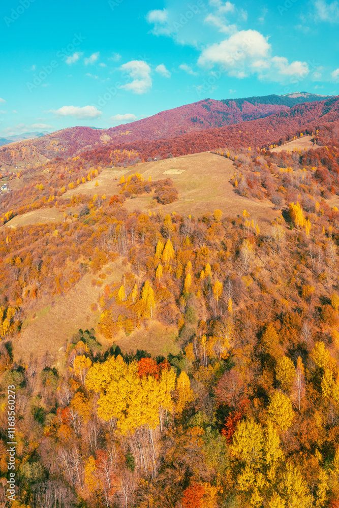 Panoramic view from above of colorful mountain slopes on a sunny autumn day. Beautiful landscape. Carpathian mountains, Ukraine. Vertical photo