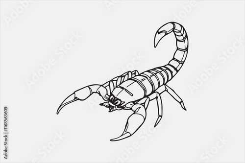 A black and white line drawing of a scorpion with a detailed depiction.