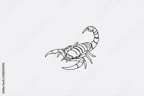 A black and white line drawing of a scorpion with a detailed depiction.