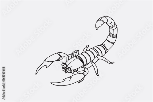 A black and white line drawing of a scorpion with a detailed depiction.