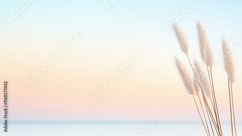 A serene image featuring soft grasses against a pastel sky, evoking calmness and tranquility.