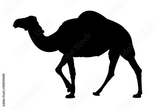 Silueta negra de un dromedario, de una joroba. Icono de animal del desierto. 