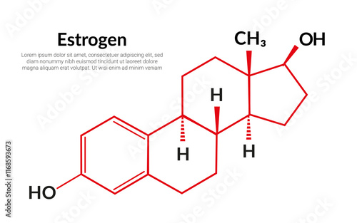 Estrogen sex hormone molecular structure formula, suitable for education or chemistry science content