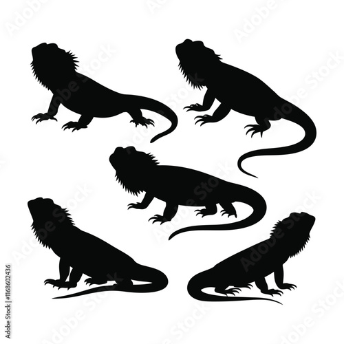 Set of bearded dragon silhouette  with white background