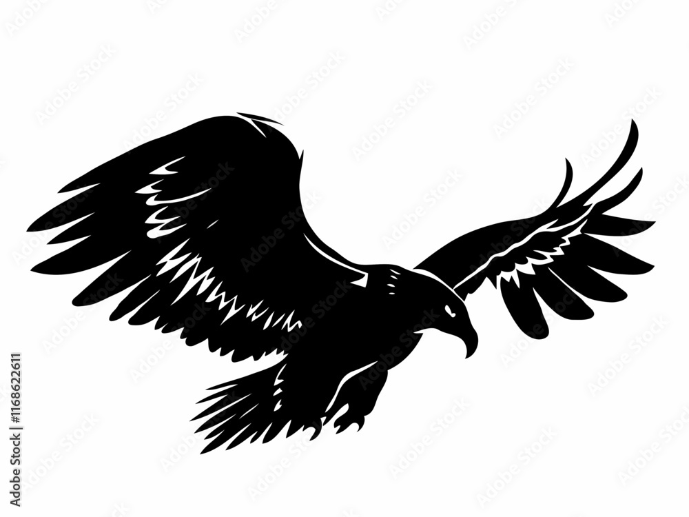 Obraz premium eagle in flight