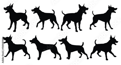 A set of aggressive and angry zwergpinscher puppy vector silhouette