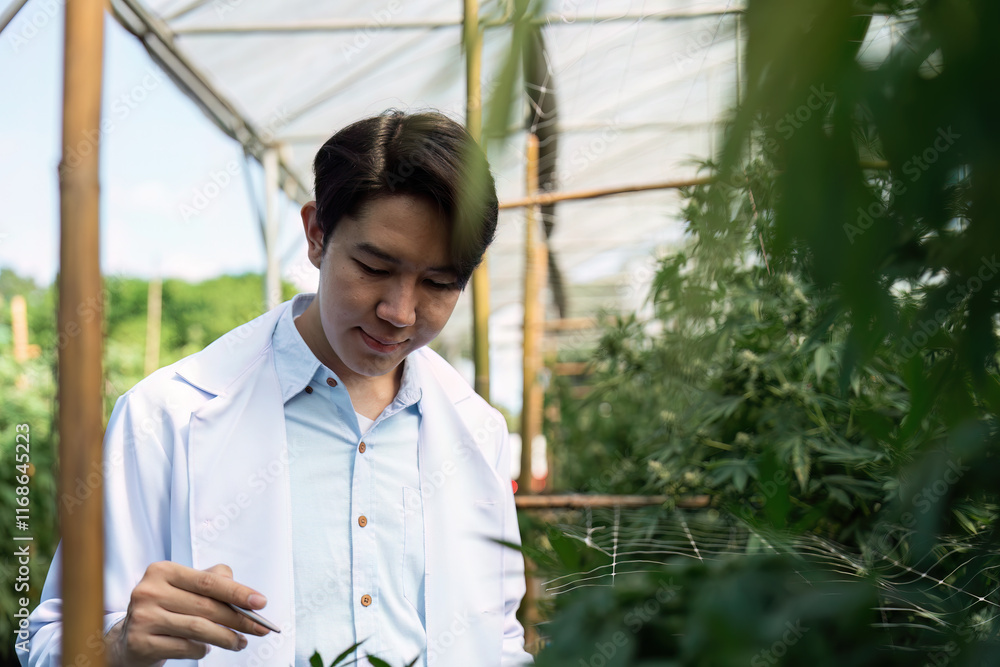 Scientist Examining Plants in a Greenhouse with Focus on Sustainable Agriculture and Innovative Farming Techniques Scientist Examining Plants in a Greenhouse with Focus on Sustainable Agriculture and Innovative Farming Techniques