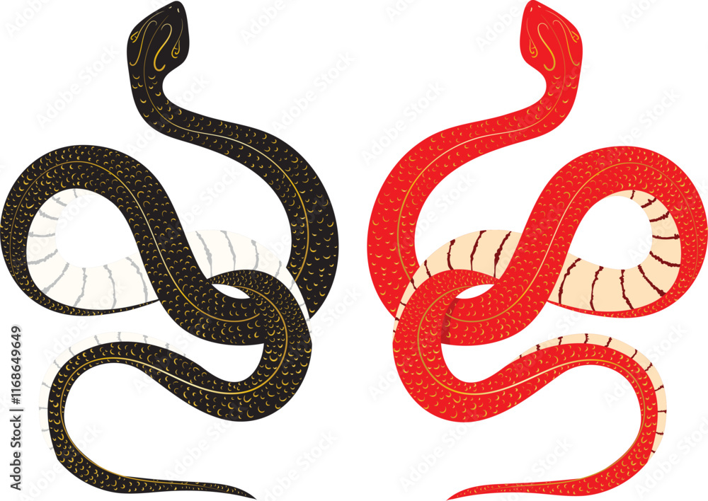 red and black snake on a white red and black snake on a white